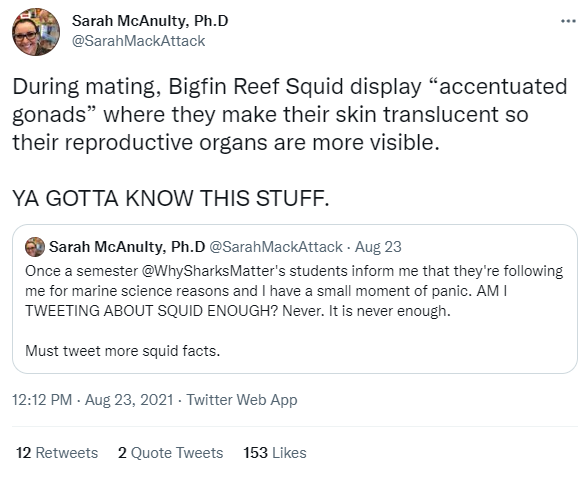 Sarah McAnulty shares squid facts
