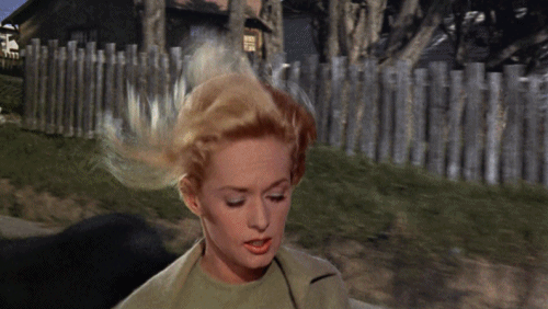 Gif from movie The Birds of woman running away while birds attack her