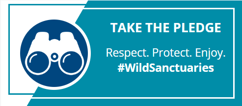 Take the pledge. Respect. Protect. Enjoy, #wildsanctuaries