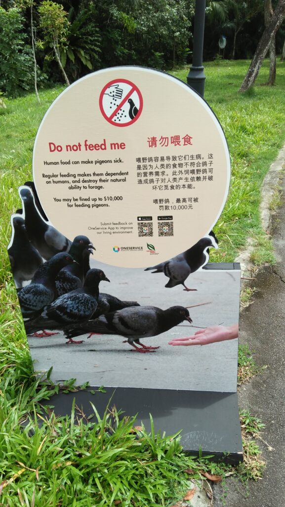 Lawn sign that reads "do not feed me" but shows an image of humans feeding pigeons.